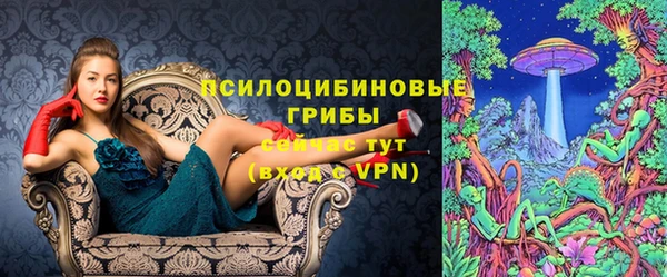 гидра Волоколамск