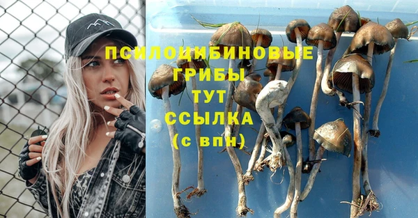 меф Вяземский