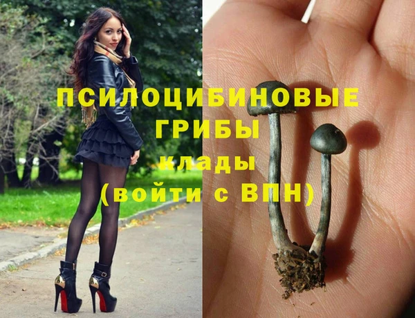 a pvp Володарск